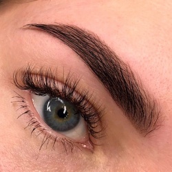 Professional Brow Master