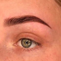 Professional Brow Master