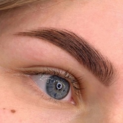 Professional Brow Master
