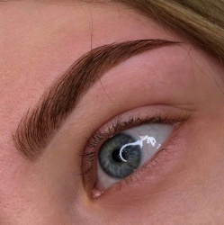 Professional Brow Master