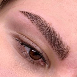 Professional Brow Master